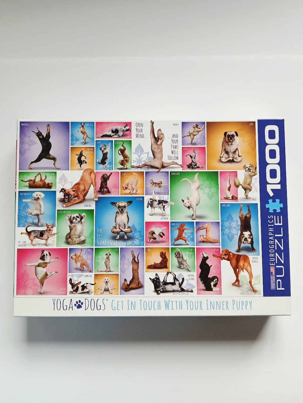 Yoga Dogs 1000-piece puzzle by Eurographics